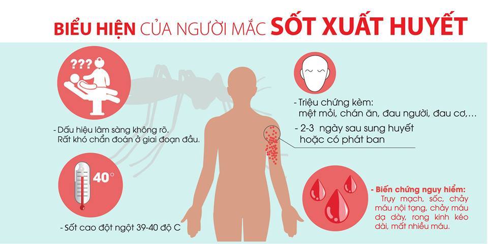 Biểu hiện của người mắc sốt xuất huyết