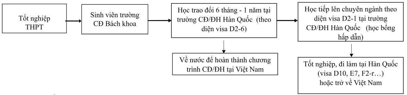 Lộ trình tham gia chương trình du học D2-6