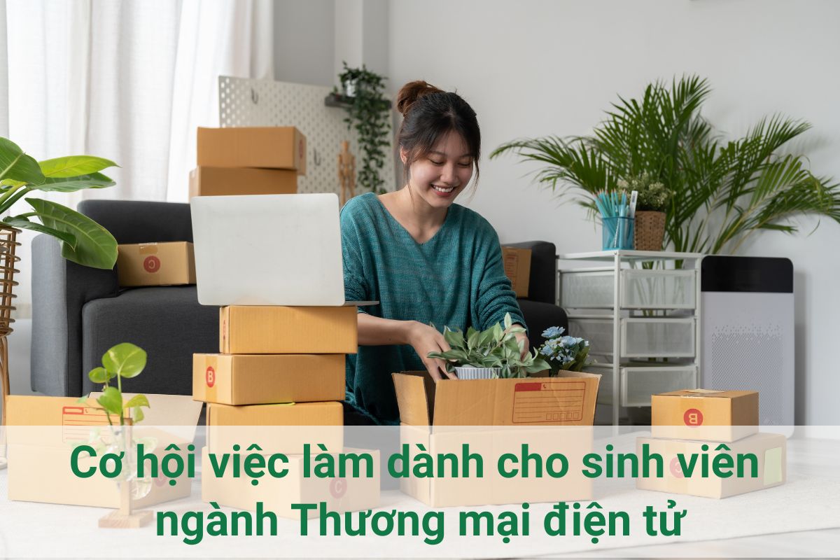 Cơ hội việc làm sinh viên ngành Thương mại điện tử là gì