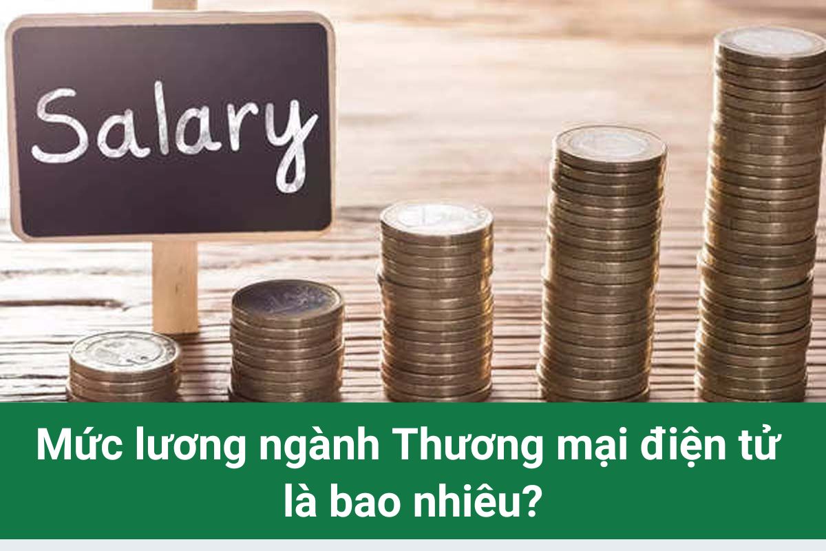 Review chi tiết lương ngành Thương mại điện tử