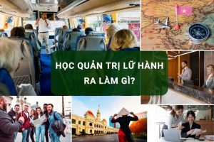 Học Quản trị lữ hành ra trường làm gì?