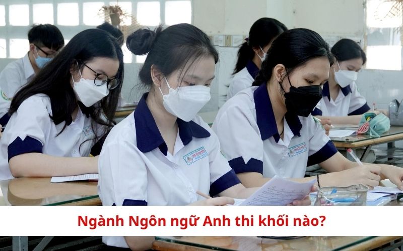 Ngành Ngôn ngữ Anh thi khối nào tại các trường đào tạo