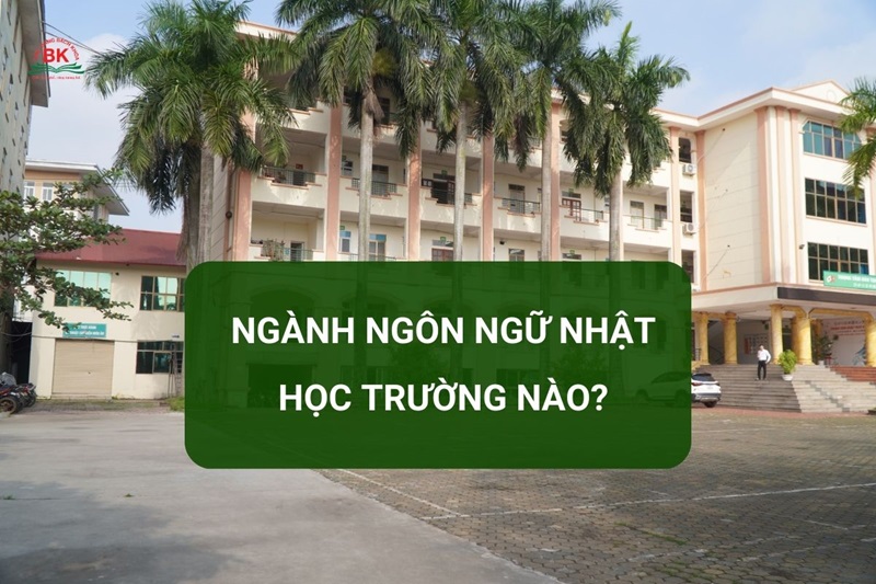 Ngành ngôn ngữ Nhật học trường nào năm 2024