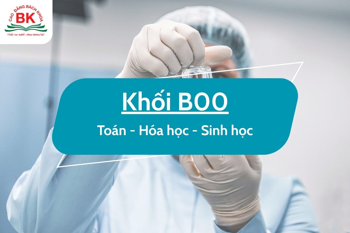 B00  gồm những môn nào trong chương trình học?