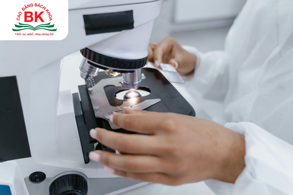 Nhóm ngành Y dược liên quan trực tiếp đến sức khỏe con người vì vậy trong tương lai AI chỉ có thể hỗ trợ chứ không thể thay thế nhân lực ngành này