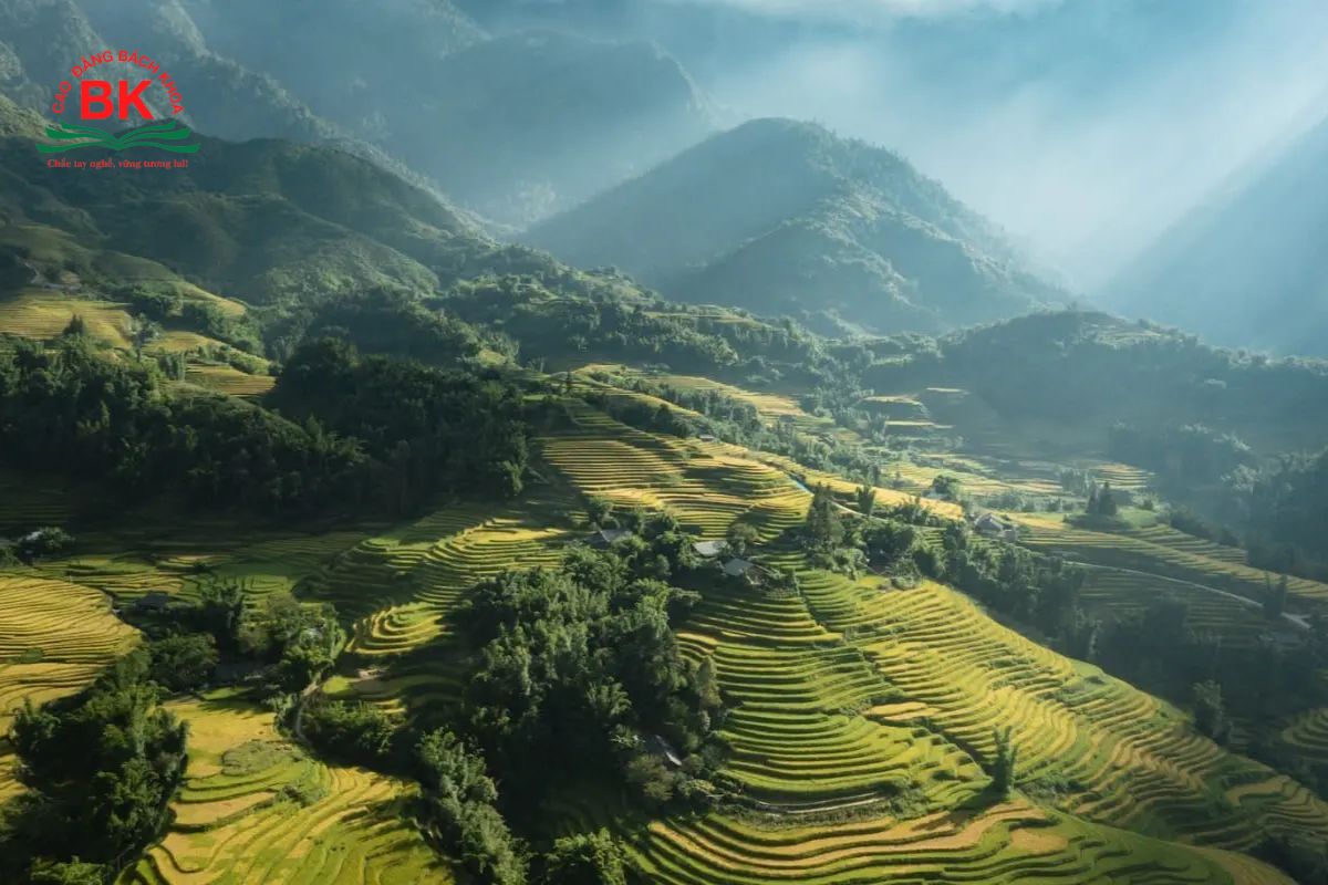 Toán Hóa Địa học ngành gì? - chọn ngay ngành Du lịch