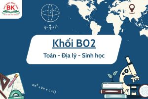 Khối B02