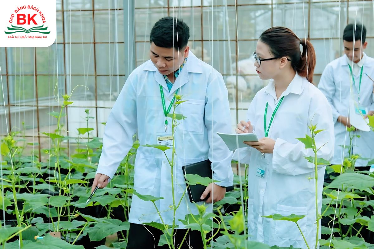 Khoa học cây trồng là ngành học bền vững trong xã hội hiện nay