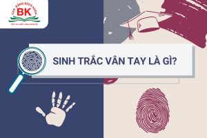 Sinh trắc vân tay - công cụ định hướng nghề nghiệp chuẩn khoa học