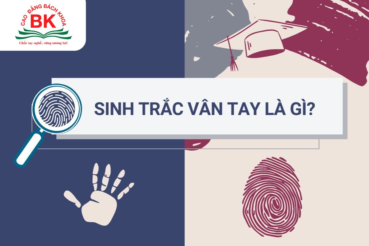 Sinh trắc vân tay là phương pháp hỗ trợ định hướng nghề nghiệp chuẩn khoa học
