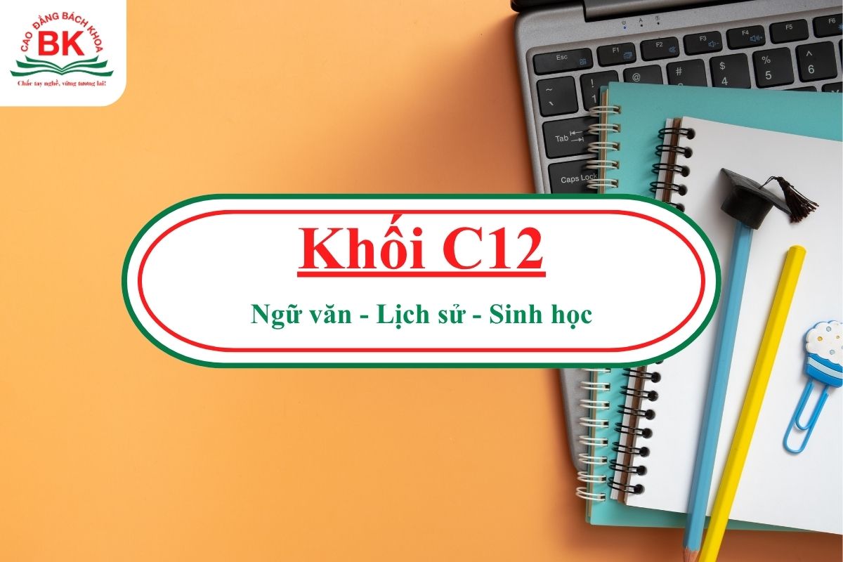 C12 gồm những môn nào?