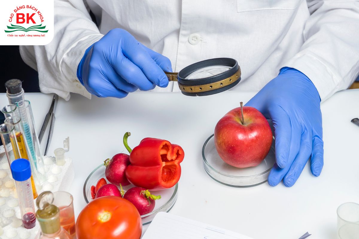 Khối C12 gồm những môn nào? Cơ hội học ngành Đảm bảo chất lượng và an toàn thực phẩm?