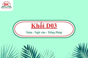 D03 gồm những môn nào?