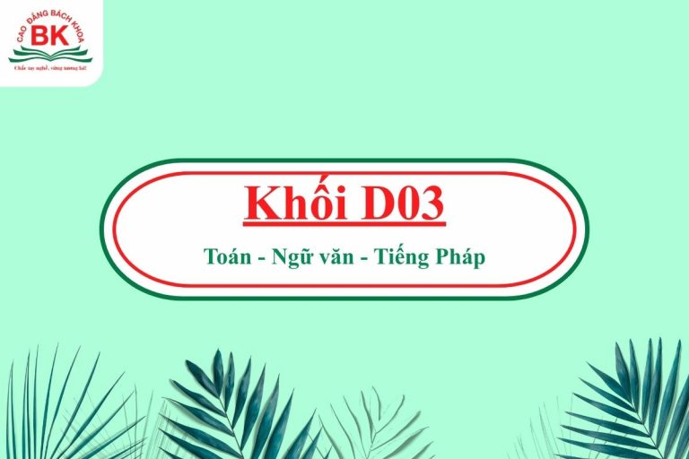 D03 gồm những môn nào?