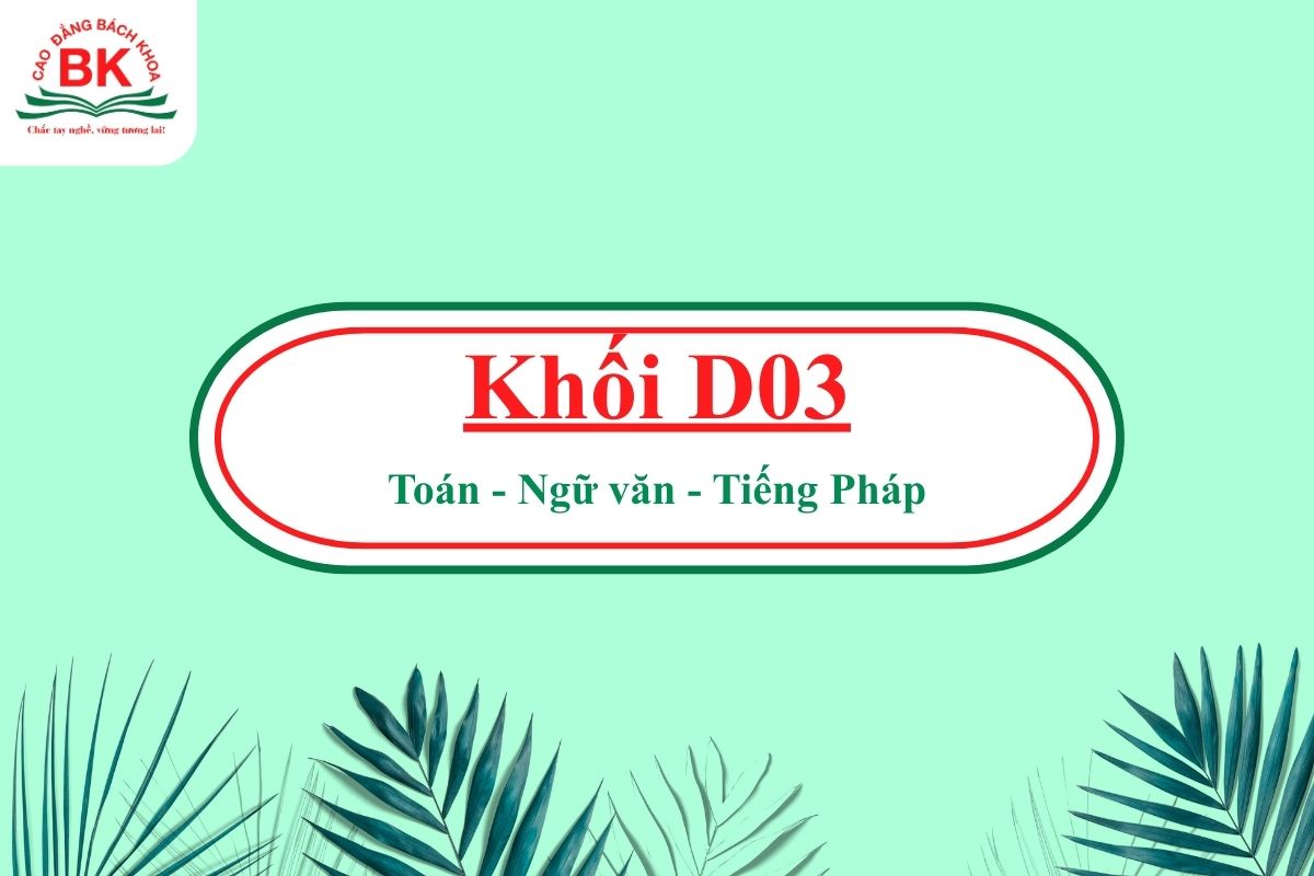 D03 gồm những môn nào?
