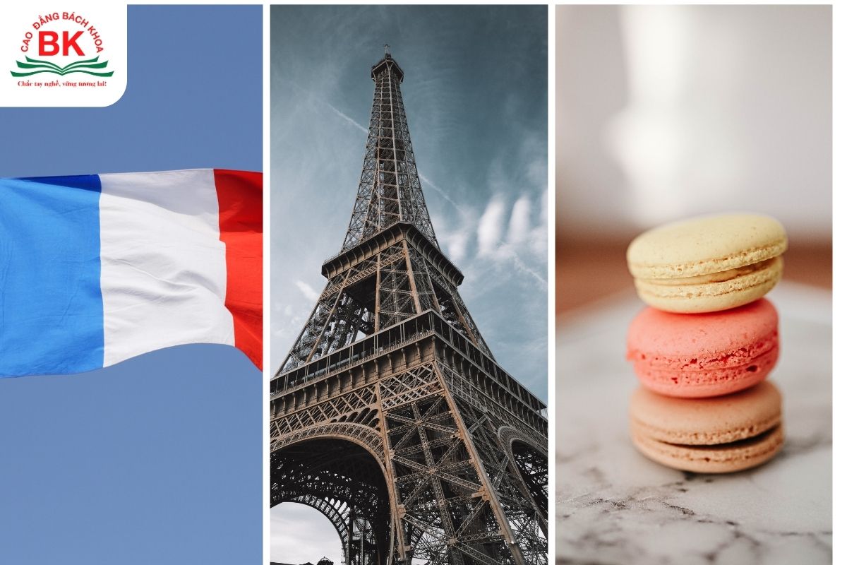 D03 gồm những môn nào? Cơ hội trong ngành Ngôn ngữ Pháp D03 gồm những môn nào? Cơ hội trong ngành Ngôn ngữ Pháp