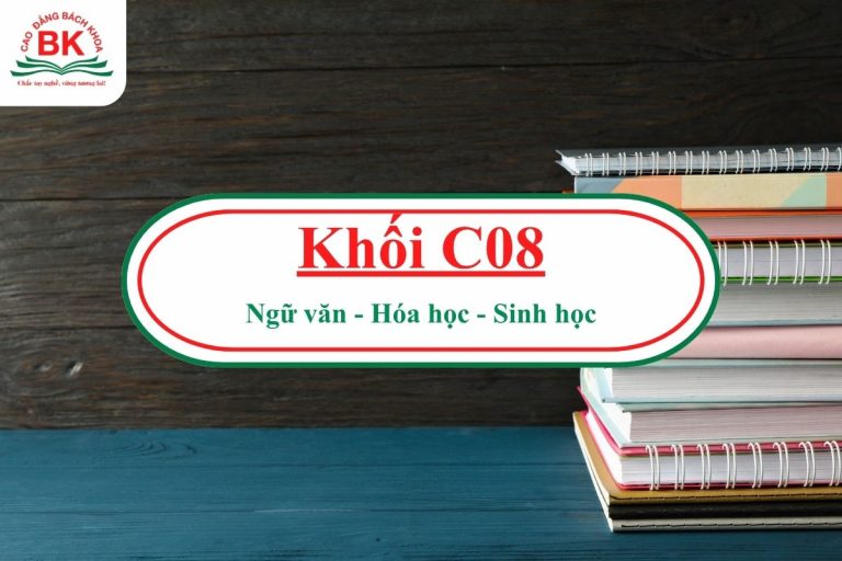 C08 gồm những môn nào?
