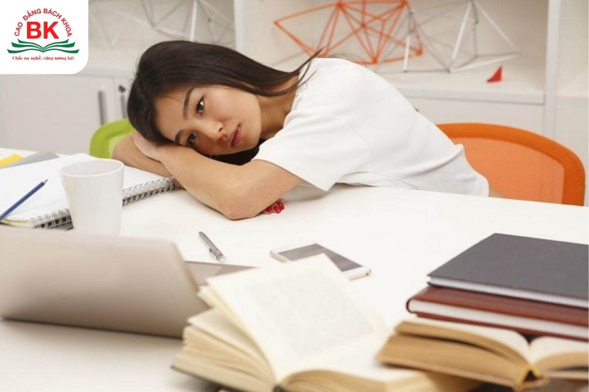 Tổ hợp C13 còn khá ít ngành học xét tuyển