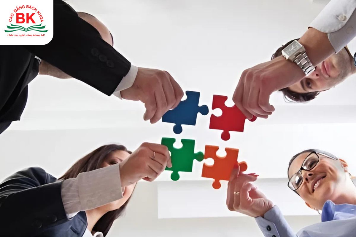 Nhóm cầu toàn làm việc nhóm thường là người đóng góp ý kiến