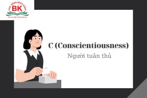 Nhóm tính cách C (Compliance - Tuân thủ) là một trong 4 nhóm hành vi cơ bản của con người trong DISC
