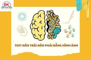 Bài test não trái não phải bằng hình ảnh là một dạng trắc nghiệm tâm lý giúp bạn nhận diện xu hướng tư duy của bản thân