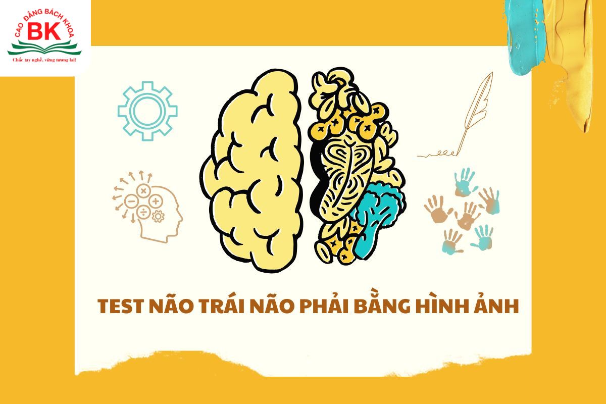 Bài test não trái não phải bằng hình ảnh là một dạng trắc nghiệm tâm lý giúp bạn nhận diện xu hướng tư duy của bản thân