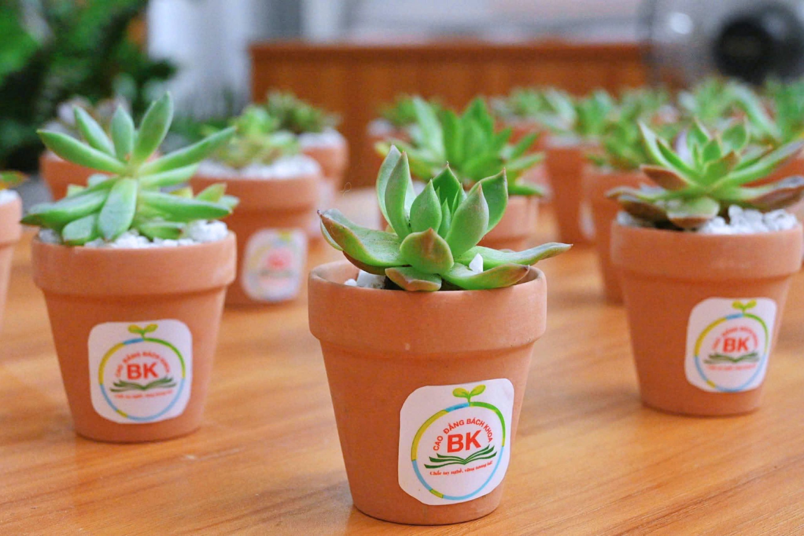 Những món quà nhỏ mang theo thông điệp sống tích cực