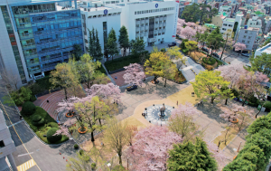 Trường Cao đẳng CNTT Kyungnam (Kyungnam College of Information & Technology - KIT)