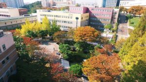 Đại học Kyungsung - Top 6 trường đại học có chất lượng đào tạo nổi bật tại Busan, Hàn Quốc theo EduRank 2026 