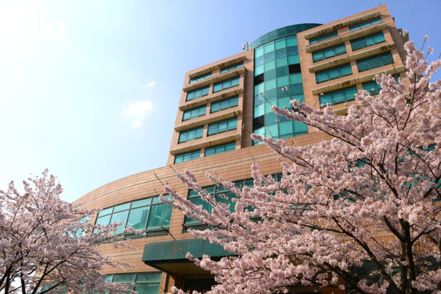 Tổng quan về Trường Đại học Nữ Suwon